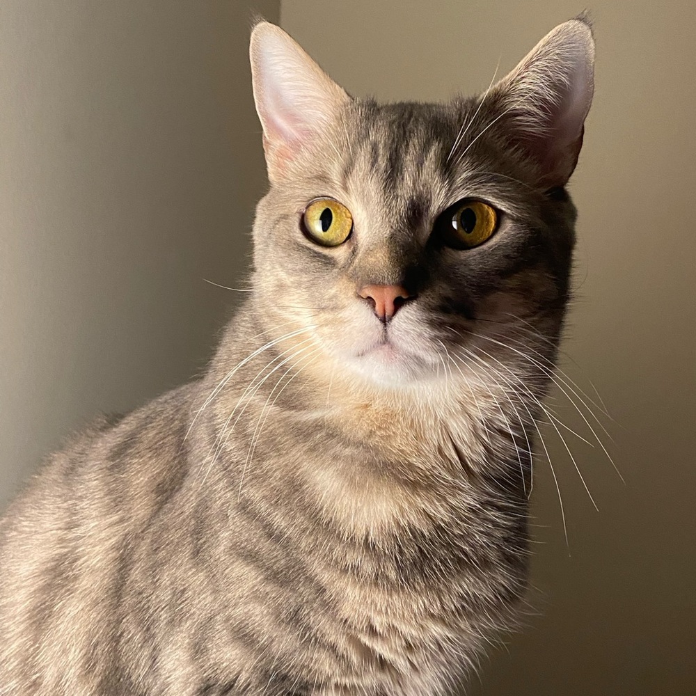 Meet your Posher, Cassie
